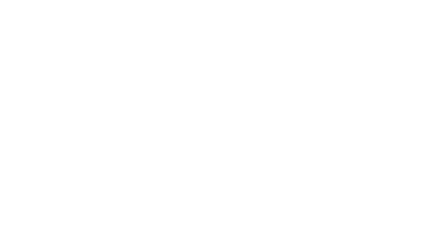 CVE